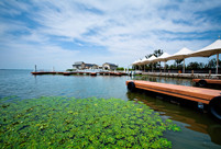 巨人網絡11年游陽澄湖、沙家浜