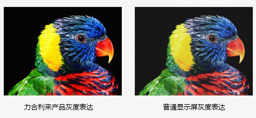 P2.5小間距l(xiāng)ed顯示屏 P2.5小間距l(xiāng)ed顯示屏